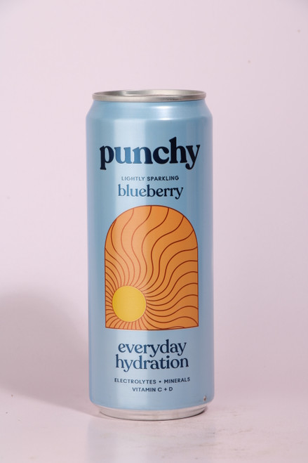 Punchy | Blueberry Hydration