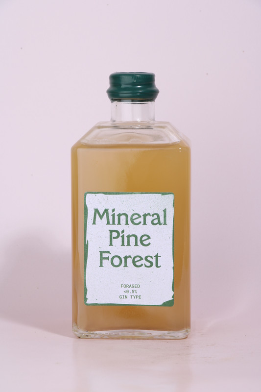 Field Guide | Mineral Pine Forest | 0%