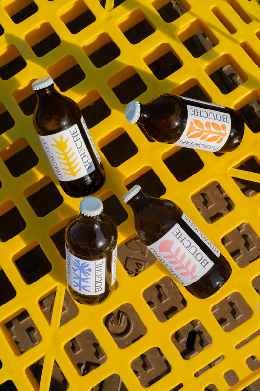 Nieuw: Bouche kombucha