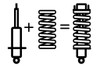 DOBINSONS ASSEMBLE PAIR OF STRUTS W/COIL AND CAP 1" LIFT PRELOAD - STRUTASSY226