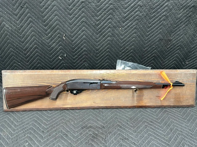 Used Remington Nylon 66 22lr 19" *No Cracks, Lite Rust Spots on Receiver*