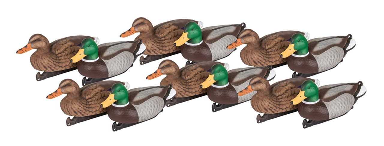 Flambeau's tried-and-true line of decoys, the Master's Series is built on our classic fundamentals of REALISM THAT GETS RESULTS. Crafted with complexity for life-like detail and designed with simplicity for long-lasting durability in the field.

Includes: (6) Active Drakes, (6) Active Hens

Classic posture for heightened on-the-water realism
Detailed winter plumage paint scheme
14" size
Sand-filled keel