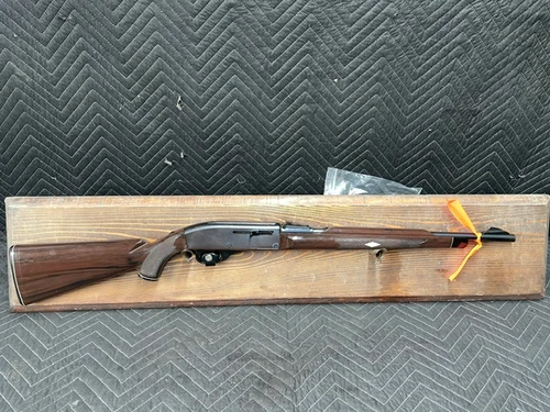 Used Remington Nylon 66 22lr 19" *No Cracks, Lite Rust Spots on Receiver*
