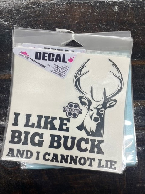 I Like Big Buck & I Cannot Lie - 6" x 6" Black