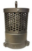 Foot Valve Strainer