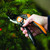 LOT of 12 Fiskars SmartFit Pruner Bypass P68, Cutting Diameter Adjustable Up to 5/8 INCH Steel Blades Non-stick Coating