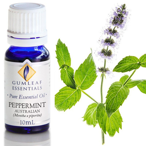 BP Essential Oil - Peppermint Australian 10ml