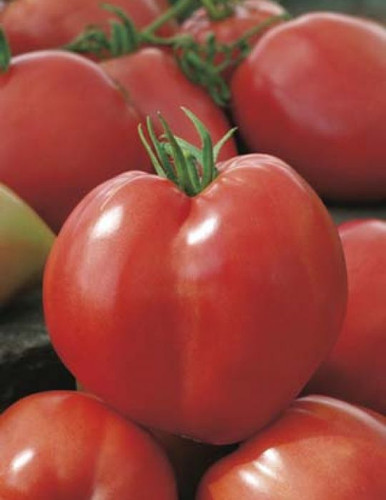 A - Tomato Oxheart