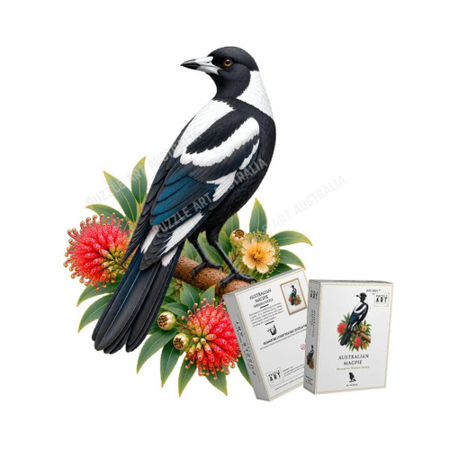 Australian Magpie A5