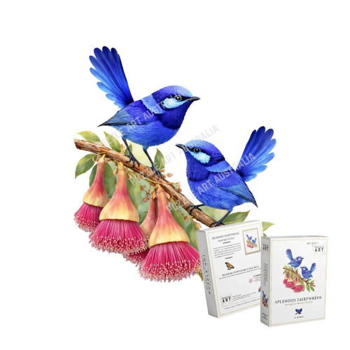 Splendid Fairy Wrens A3