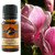 BP Fragrant Oil - Honeysuckle & Magnolia 10ml