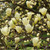 Magnolia x 'Elizabeth' L/R or B/R Primrose