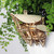 Tiny Treehouses - Horizons Edge