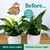 Tiny Treehouses - Island Cabana + Grow Light