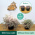 Tiny Treehouses - Island Cabana + Grow Light