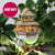 Tiny Treehouses - Sunrise Terrace + Grow Light Tiny Treehouses - Sunrise Terrace + Grow Light
