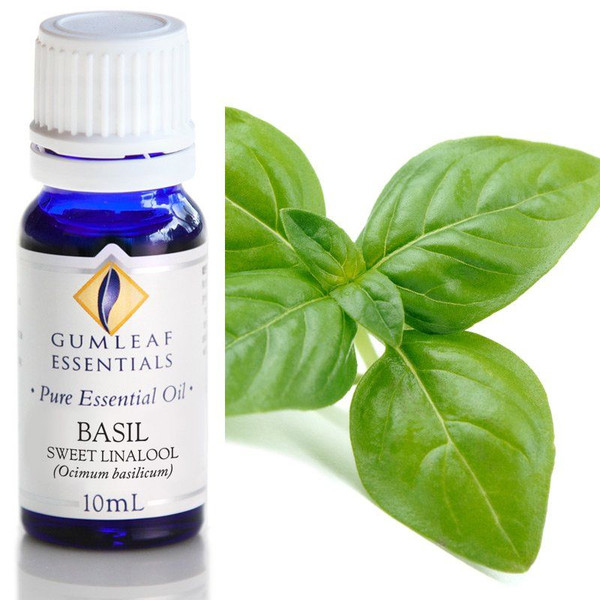 BP Essential Oil Basil Sweet Linalool 10ml