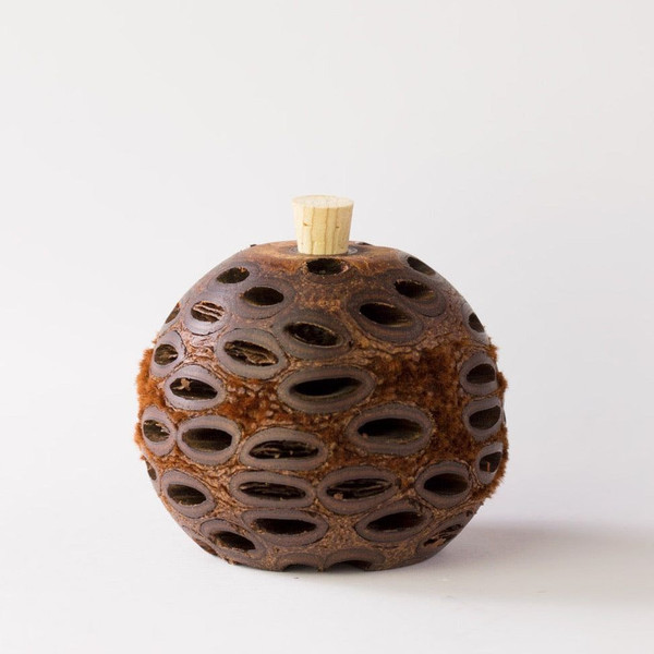 BGA Banksia Mini Aroma Pod (Filled)