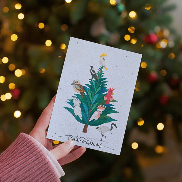 Plantable Xmas Card | Bird Swan River Daisy