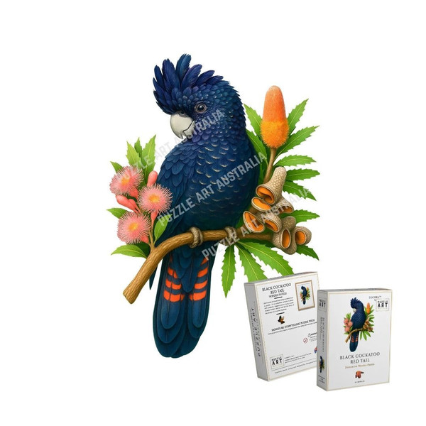 Black Cockatoo Red Tail A5
