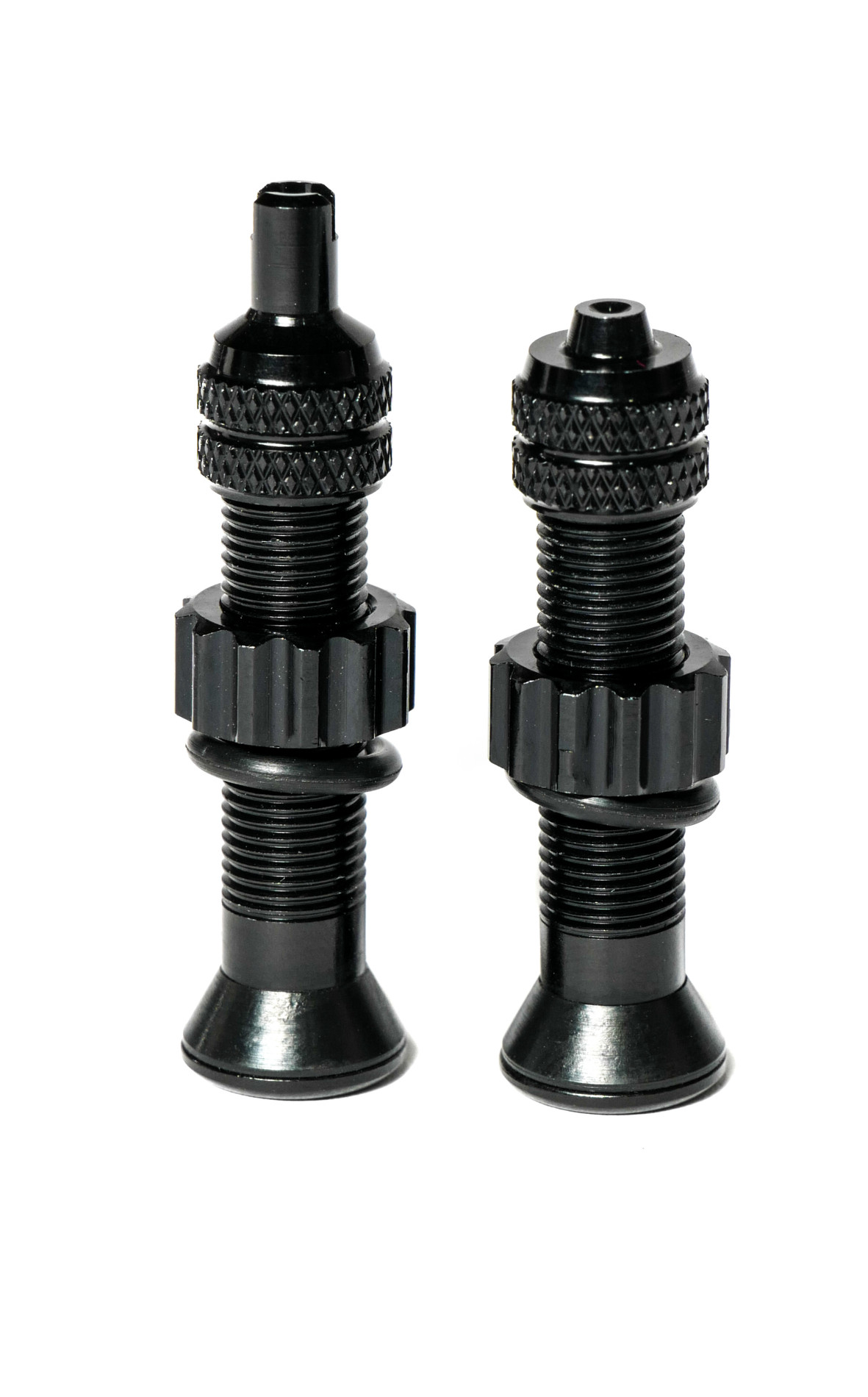 Black + Oil Slick TITANIUM Tubeless Valves