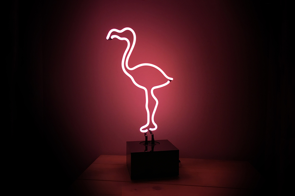 Flamingo