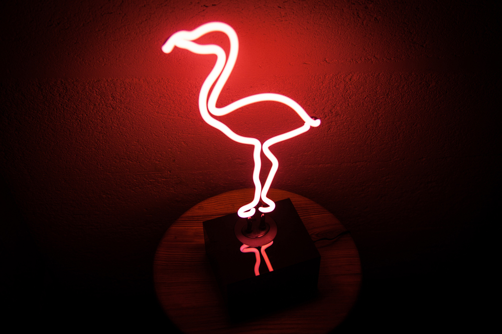 Flamingo