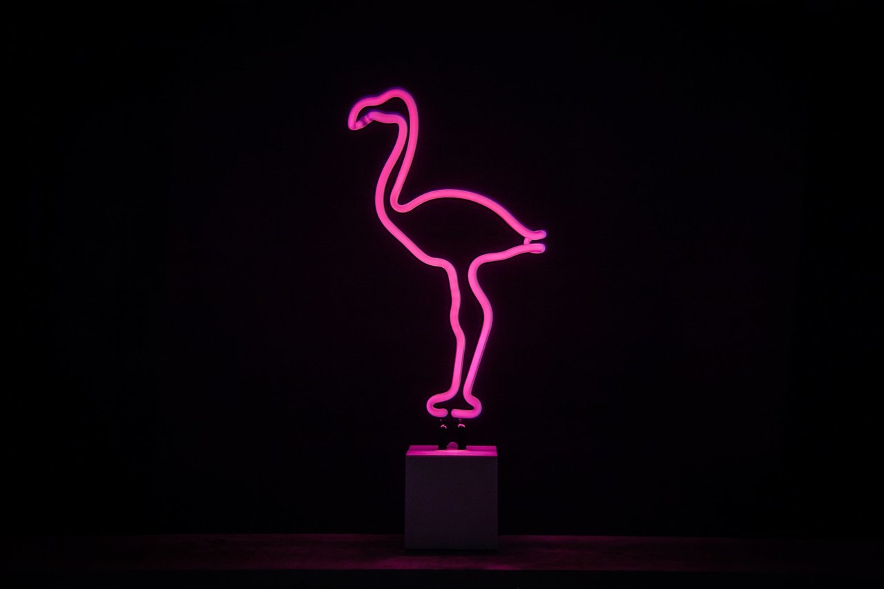 Flamingo