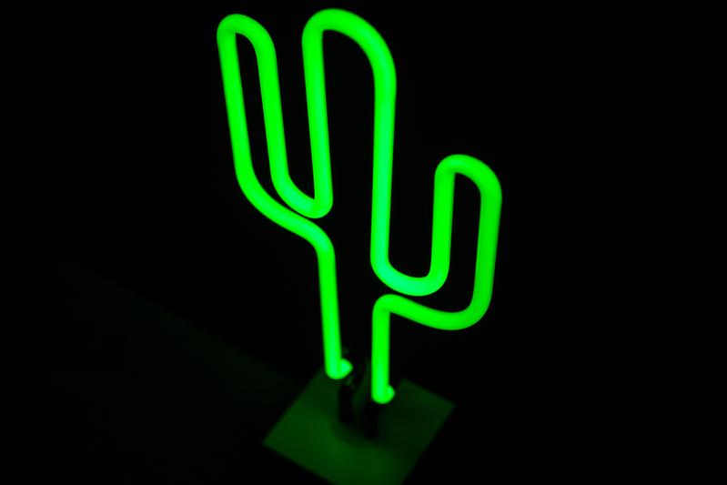 Cactus