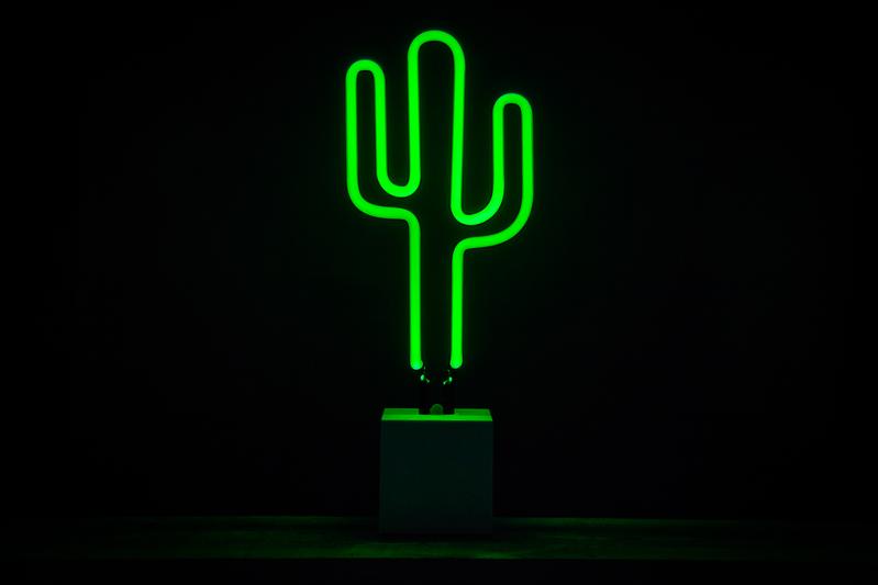 Cactus
