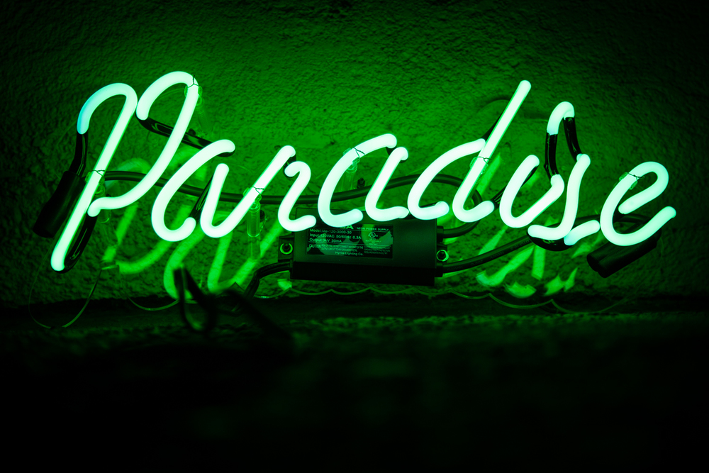 Paradise