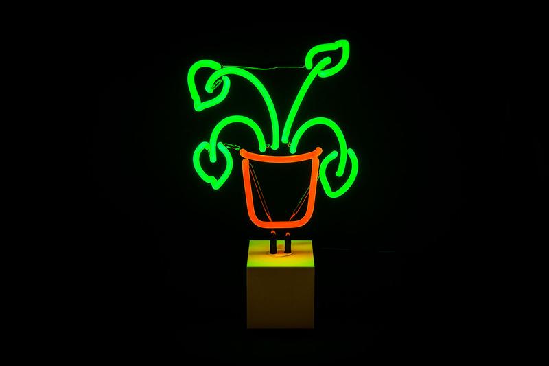 Plant