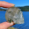 Lodolite Landscape Garden Quartz Crystal Skull