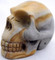 Raven's  Wild horse Picture Jasper Crystal Skull