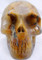 Raven's Rutilated Quartz Crystal Skull