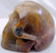 Raven's Bi Color Gold Red Rutilated Quartz Crystal Skull