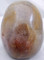 Raven's Bi Color Gold Red Rutilated Quartz Crystal Skull