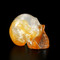 Golden Healer Quartz Crystal Skull 1.5