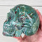 Raven's Carved Classic Style Purple Charoite Crystal Skull