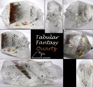 Raven's Carved Natural Tabular Quartz Crystal Skull with a Super Phantom one of a kind!