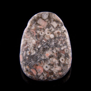 Fossil Coral Gemstone Pendant Bead