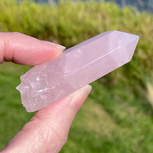 Raven's Carved Rose Quartz Crystal Skull