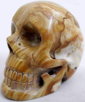 Raven's Carved Picture Jasper Crystal Skull