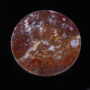 Plume Agate Palm Stone Disk Coaster