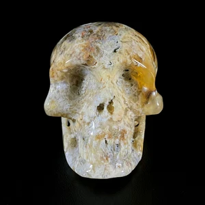 Raven's Agatized Coral Crystal Skull Carving