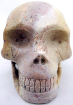 Raven's Fossilized Agatized Coral Crystal Skull