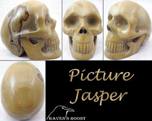 Raven's Carved Picture Jasper Crystal Skull