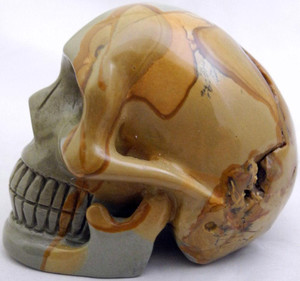 Raven's Wildhorse Picture Jasper Crystal Skull