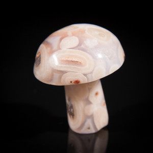 Cosmic Eye Agate Crystal Mushroom Toadstool
