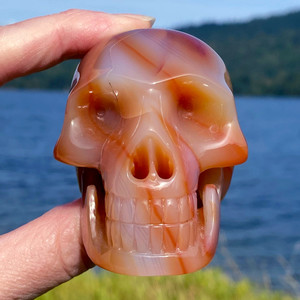 Raven's Carved Deep Carnelian Classic Style Crystal Skull